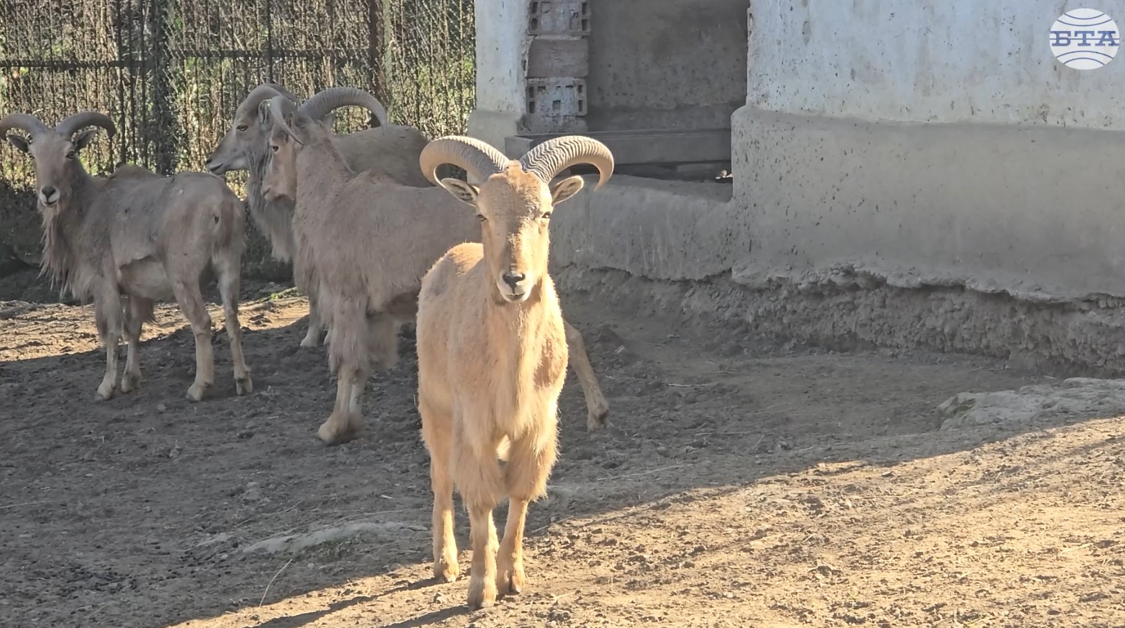 Ловешкият зоопарк посреща посетителите с нови видове животни и новородени обитатели