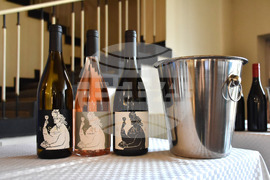 Пловдив - „Технология на виното и пивото“