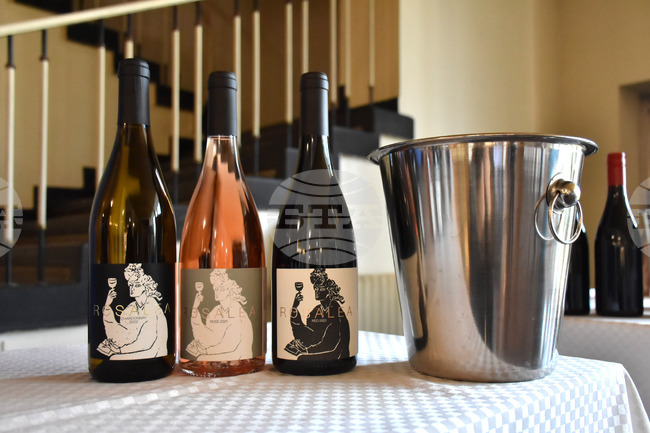 Пловдив - „Технология на виното и пивото“