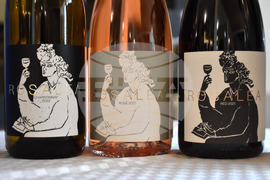 Пловдив - „Технология на виното и пивото“