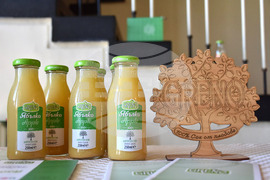 Пловдив - „Технология на виното и пивото“