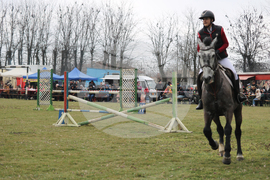 Село Кардам - конен спорт - турнир