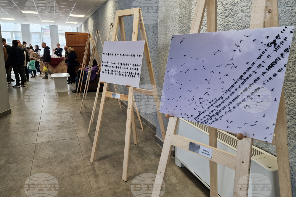 Шумен - Фондация „Гален Темелков" - годишни награди