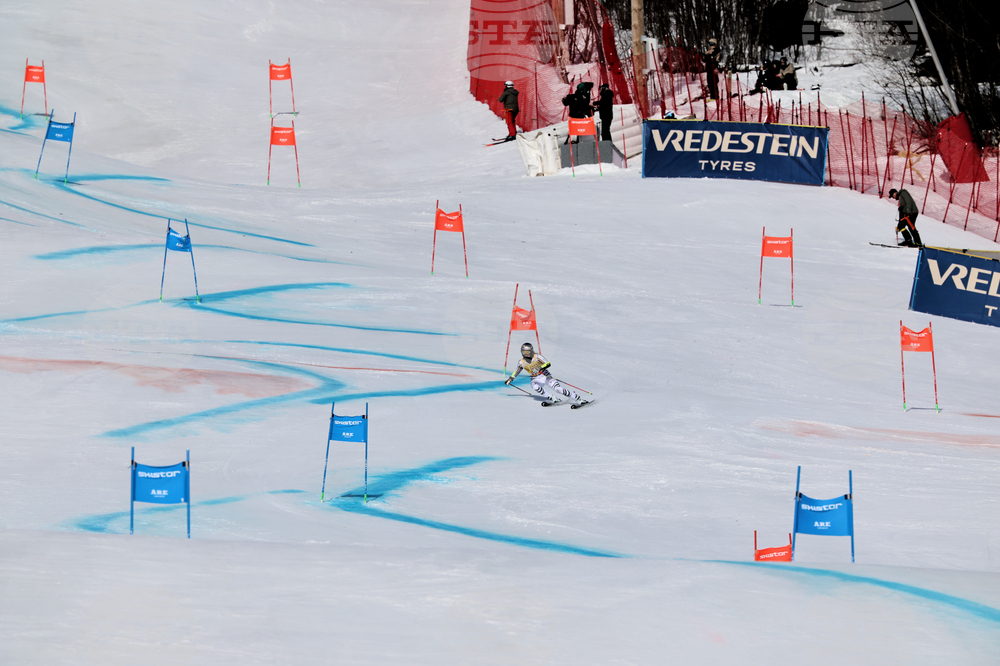 Sweden World Cup Alpine Skiing