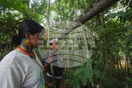 APTOPIX Climate Ecuador Amazon Oil