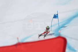 Sweden World Cup Alpine Skiing