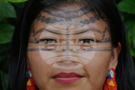 Climate Ecuador Amazon Oil