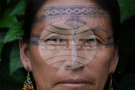Climate Ecuador Amazon Oil