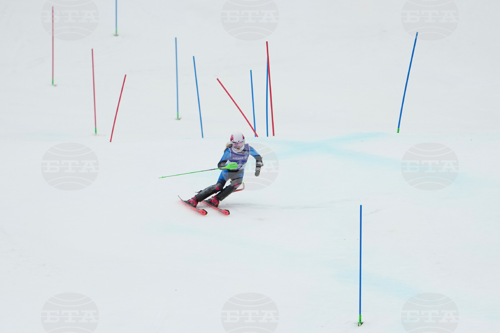 Milan Cortina Paralympics Alpine Skiing