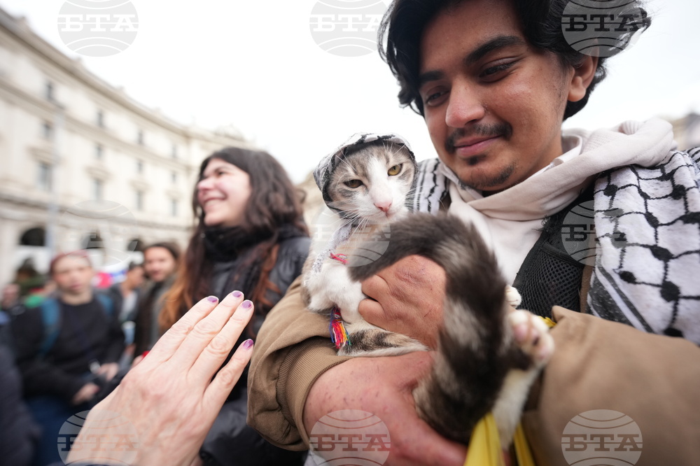 Italy Protests