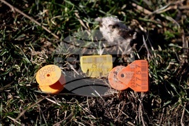 Ихтиман - животински отпадъци