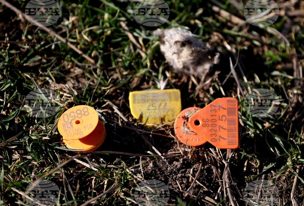 Ихтиман - животински отпадъци