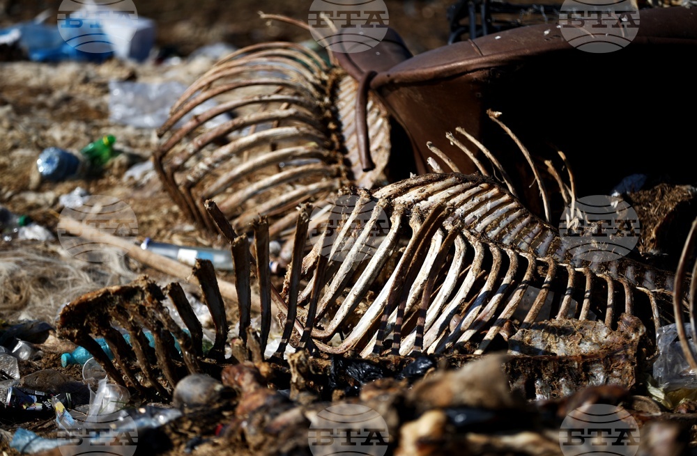 Ихтиман - животински отпадъци