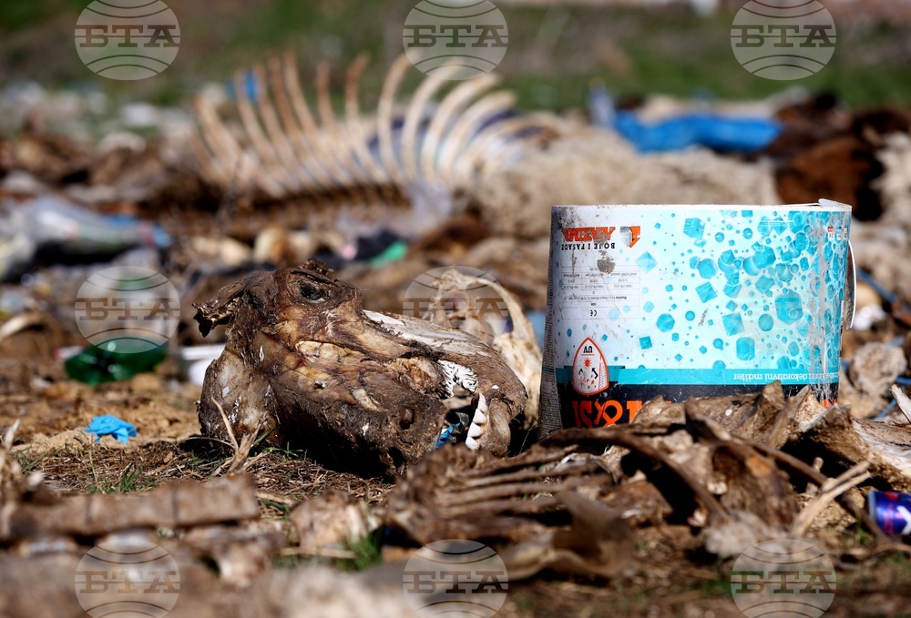 Ихтиман - животински отпадъци