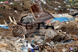 Ихтиман - животински отпадъци