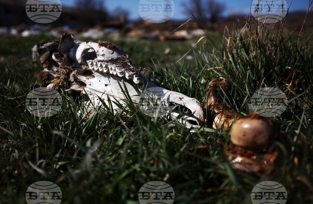 Ихтиман - животински отпадъци