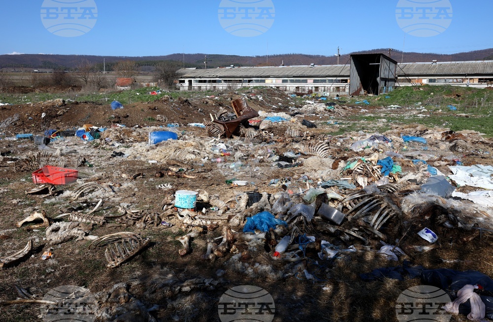 Ихтиман - животински отпадъци