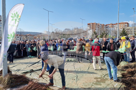 Шумен - „Гората БГ“ - раздаване на дръвчета