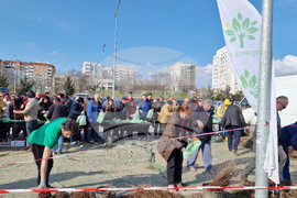 Шумен - „Гората БГ“ - раздаване на дръвчета