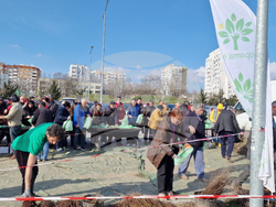 Шумен - „Гората БГ“ - раздаване на дръвчета