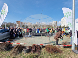 Шумен - „Гората БГ“ - раздаване на дръвчета