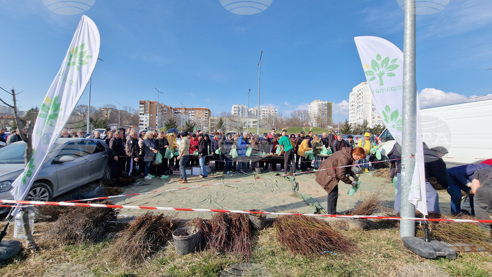 Шумен - „Гората БГ“ - раздаване на дръвчета