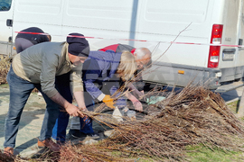 Шумен - „Гората БГ“ - раздаване на дръвчета