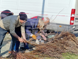 Шумен - „Гората БГ“ - раздаване на дръвчета