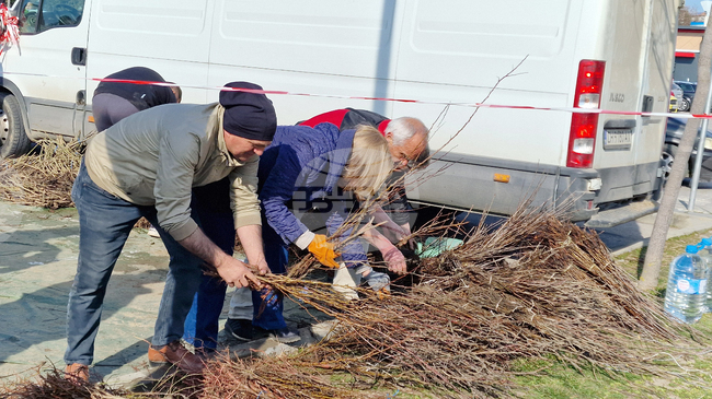 Шумен - „Гората БГ“ - раздаване на дръвчета