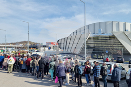 Шумен - „Гората БГ“ - раздаване на дръвчета