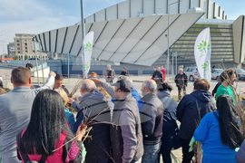 Шумен - „Гората БГ“ - раздаване на дръвчета