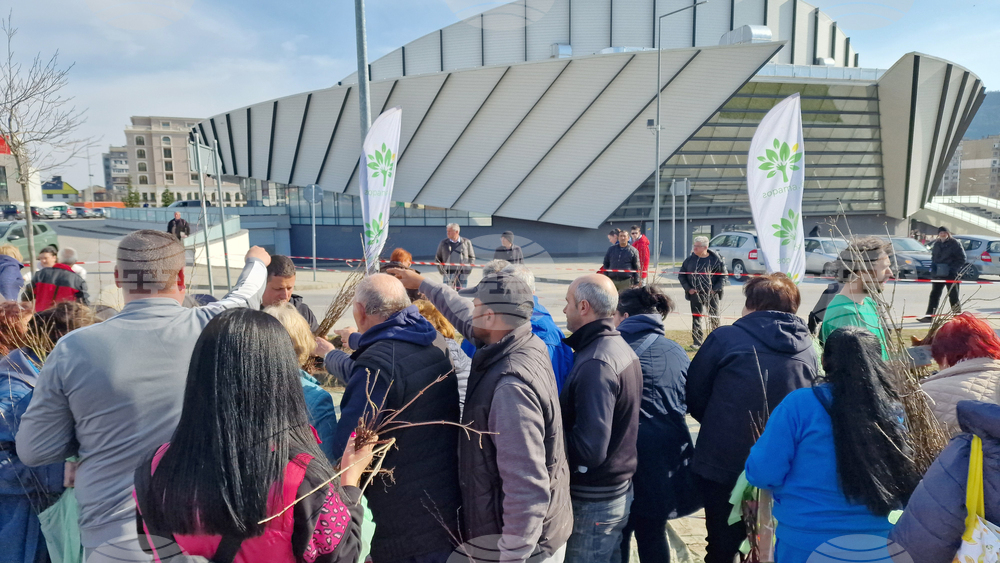 Шумен - „Гората БГ“ - раздаване на дръвчета