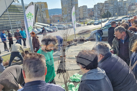 Шумен - „Гората БГ“ - раздаване на дръвчета