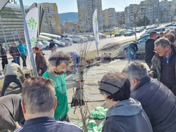 Шумен - „Гората БГ“ - раздаване на дръвчета