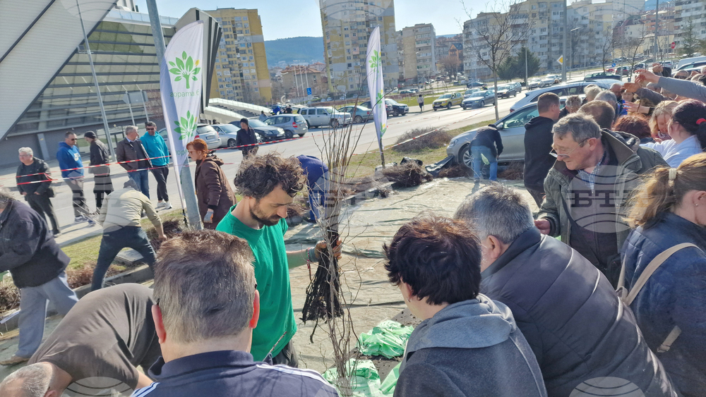 Шумен - „Гората БГ“ - раздаване на дръвчета