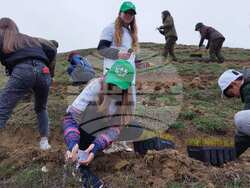 Снимка: Югозападно държавно предприятие ДП Благоевград