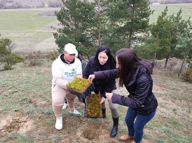 Югозападно държавно предприятие ДП Благоевград: 2000 броя контейнерни фиданки от черен бор залесиха горски служители и ученици край село Баня, община Разлог