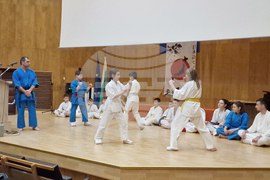 Велико Търново - Празник на японската култура