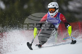 APTOPIX Milan Cortina Paralympics Alpine Skiing