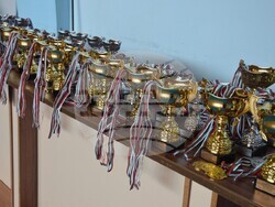 Снимка: Община Видин