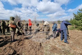 Село Пауново  - залесяване