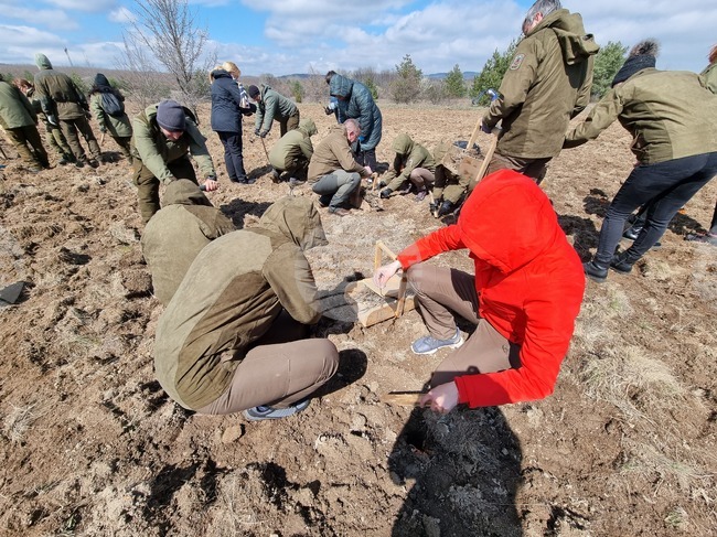 Село Пауново - залесяване