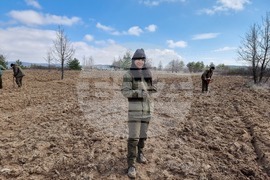 Село Пауново  - залесяване