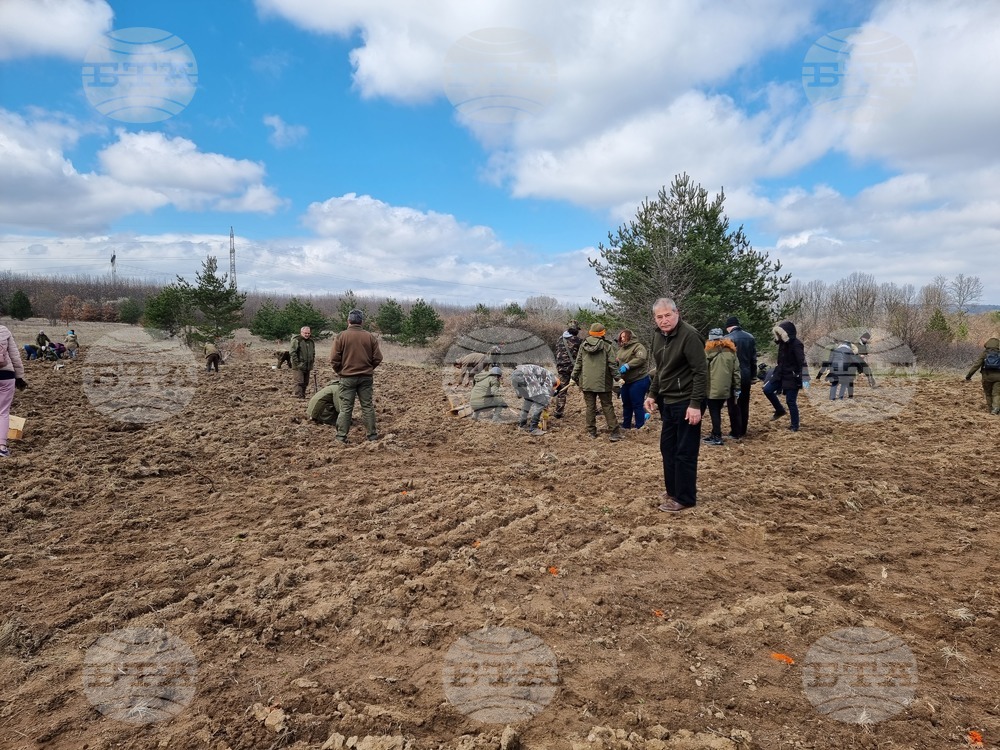 Село Пауново - залесяване