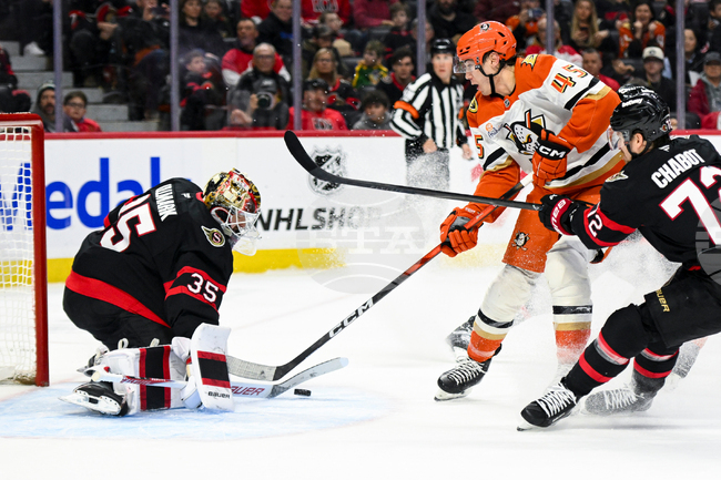 Ducks Senators Hockey