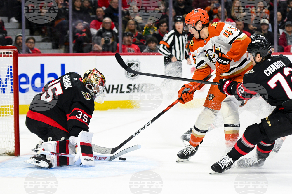 Ducks Senators Hockey