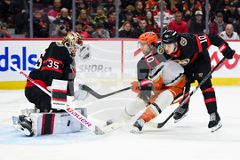 Ducks Senators Hockey