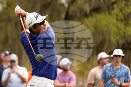 Players Championship Golf