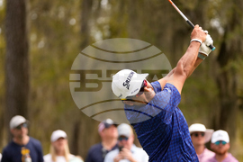 Players Championship Golf