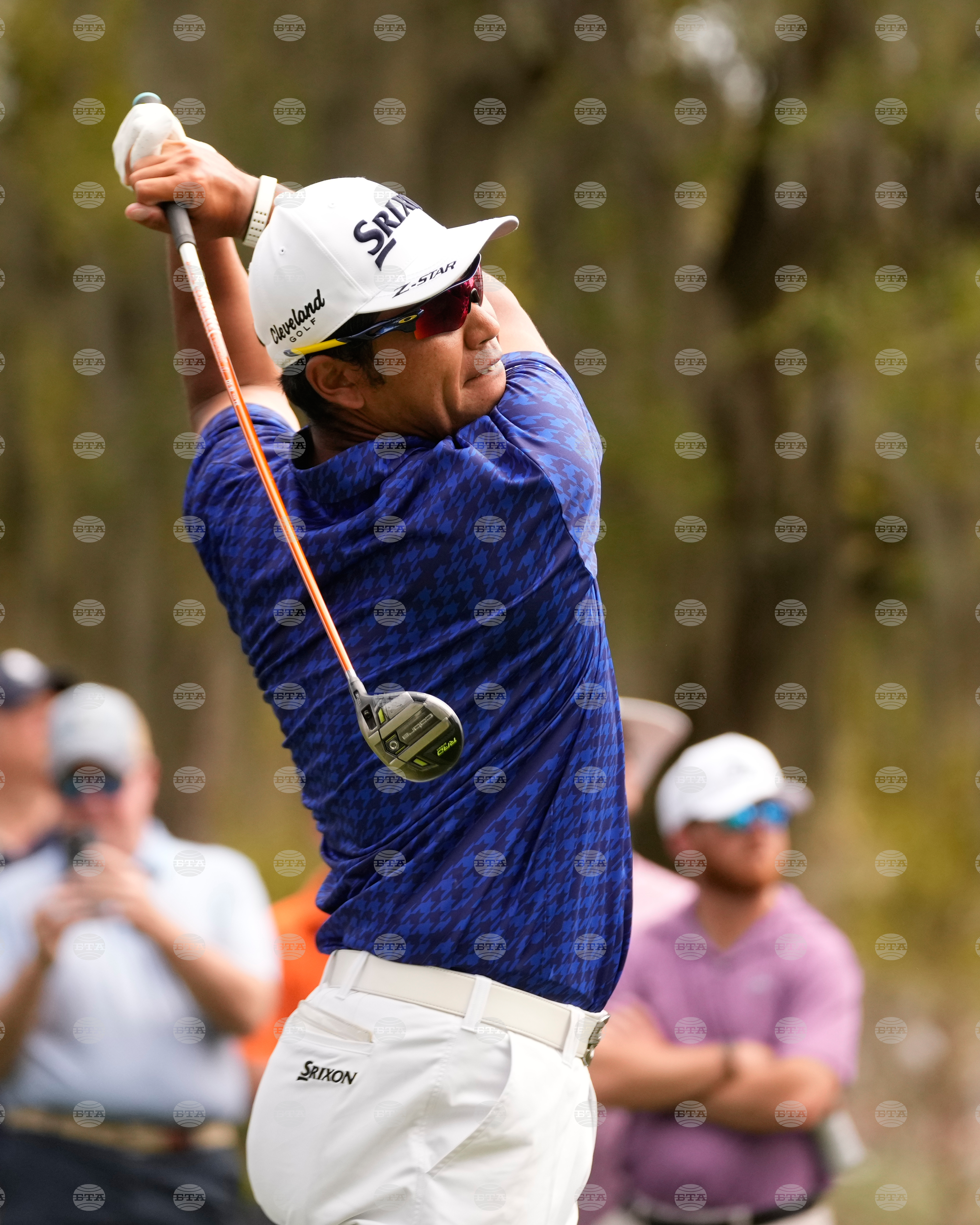 Players Championship Golf